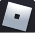 ROBLOX TEAM (notreal)