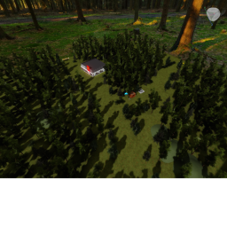 Military Forest