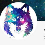 Official YT Wifi
