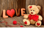 The stuffed animal (teddy bear) group