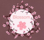 ¥Blossom¥