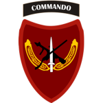 4th Karemian Marine Division