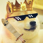 The doge kingdom<3