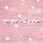 *Aesthetic_Clothes*