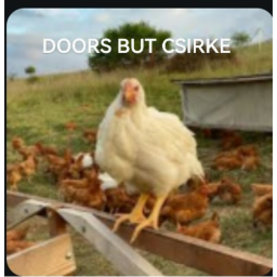 DOORS BUT CSIRKE [FINAL PART!]