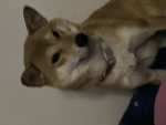 Please join me pls