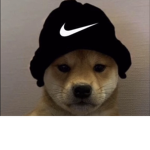 Mega Doge Monarchy