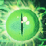 OverSeer Offical