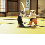 black ninjas ninjas of roblox