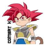 COMBAT X