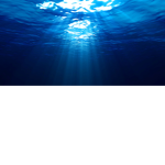 Ocean Fashion°°