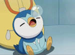 Studio Pingu