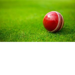 Cricketplayer Studios
