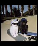 {Cat Squad}