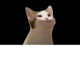 pop cat obby icon