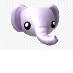 Elephants are amazing