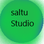 Saltu Studios