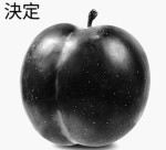 Plum Coalition