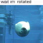 MuuhGames
