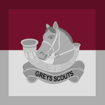 Grey Scouts