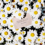 Daisy’s <3
