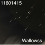 Wallowss