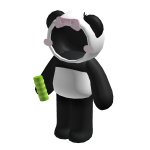 Cute Panda Suit
