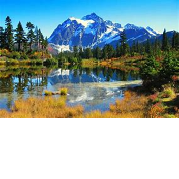 [CLOSED FOREVER] Life In Town