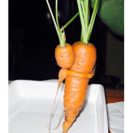 whats up buttercup