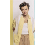 Them harry styles