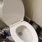 Mr.Toilet gaming gang