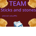 Team Sticks and Stones