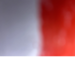 Poland gang :]