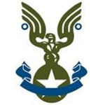 UNSC Air Corps