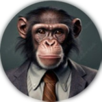 Kmonkey Creates