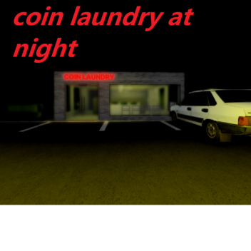 coin laundry at night