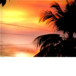 TheSunsetKids