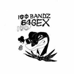 the 100 gecs fan club