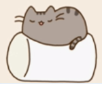 Marshmallow Rice