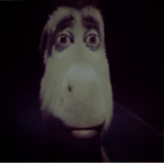 SW4G CL0THES