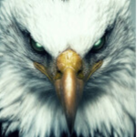 Eagle Warriоr