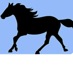 Moonlight Star Riding Academy