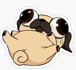 Da pugg