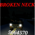 Broken NECK