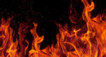 Fire Finn