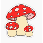 Mushroomssssss