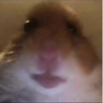 Itz_Beez