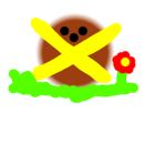 C0C0NUT STUDI0S