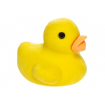 the nl ducksquad