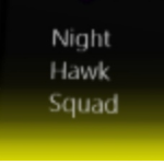 Night Hawk Squad
